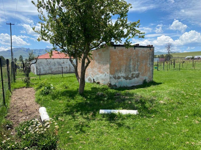 0 Bedroom Property for Sale in Elliot Eastern Cape